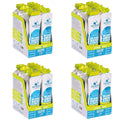 KMC NRG GEL+ Citrus & Mint Caffeine Flavour Bundle L (48x70g Gels)